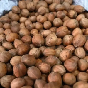 Pahadi Pecan Nuts