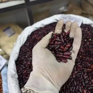 Pahadi Red Capsule Rajmah