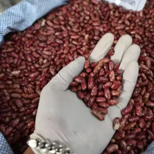 Pahadi Red Chitra Rajmah