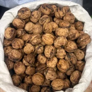 Pahadi Walnut Hard