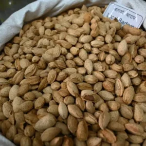 Pahadi Almonds / Badam
