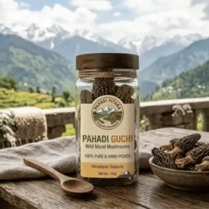 Pahadi Wild Mushroom / Guchi