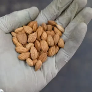 Pahadi Apricot Kernels / Mithi Gutti