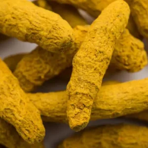 Pahadi Raw Haldi / Raw Turmeric