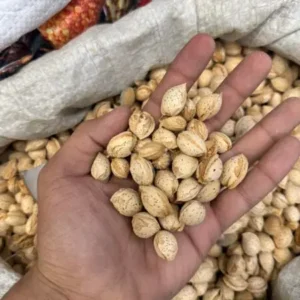 Kinnauri Badam with Shell