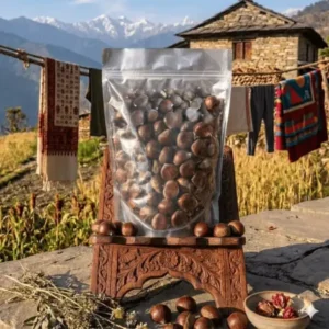 Pahadi Chestnut